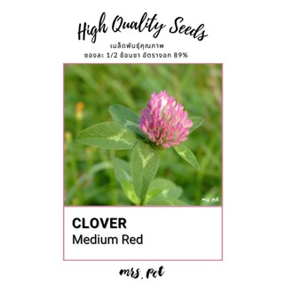 เมล็ดโคลฟเวอร์ สายพันธุ์ Medium Red Clover