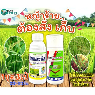 🌾 ชุดเก็บหญ้าดื้อยา โกลอะนิล+ไซฮาโลฟอป ตราม้าบิน(อะนิโลฟอส+ไซฮาโลฟอป-บิวทิล) ขนาด 500+500ซีซี เก็บหญ้าในนาข้าว20-40วัน