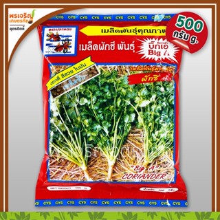 เมล็ดพันธุ์ผักชี ผักชีบิ๊กเอ Big A เมล็ดซีก (500 กรัม) เมล็ดผักชีถุงใหญ่ ผักชีปลาทอง เมล็ดพันธุ์ผักสวนครัว ตราปลาทอง