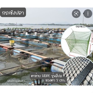 กระชังเลี้ยงกบเลี้ยงสัตว์น้ำขนาด 2.5x2.5x1.8 m.กระชังมาตรฐาน กระชังใช้งานกลางแจ้ง ติดตั้งง่ายพร้อมใช้งาน สินค้าพร้อมส่ง