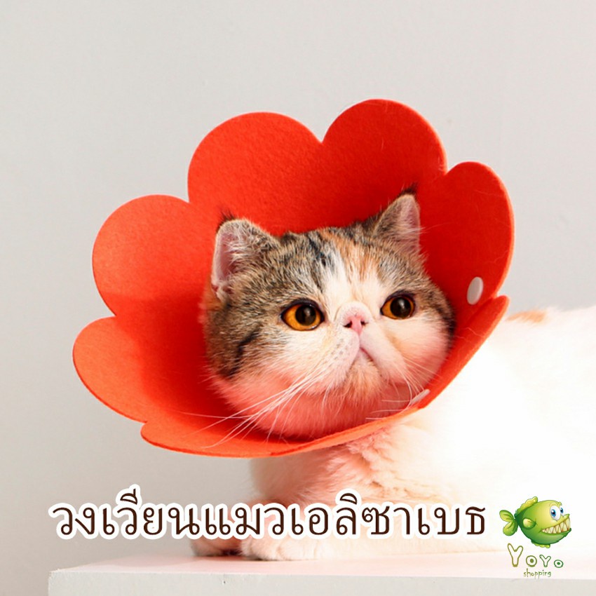 YOYO คอลล่าแมว ปลอกคอดอกไม้ ปลอกคอกันเลีย คอลล่าสุนัข Cat coll