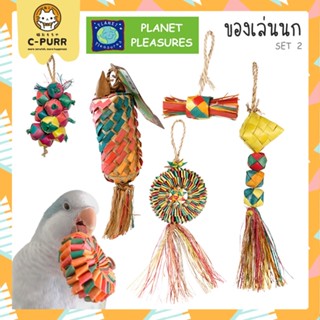 (SET No.2) Planet Pleasures ของเล่นนก จากใบตาลสานและวัสดุจากธรรมชาติ นำเข้าจาก USA