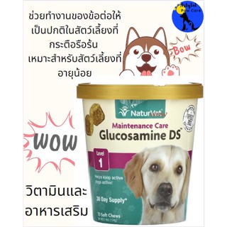 Glucosamine DS, Maintenance Care, Level 1,ชะลอการอักเสบข้อสะโพก,70 Soft Chews, 5.4 oz (154 g)