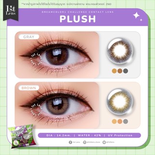 ✨ใหม่!✨ (0.00-6.00) รุ่น ★ PLUSH ★ (สีเทา/น้ำตาล) Dreamcolor1 Challenge Contact Lens | คอนแทคเลนส์ รายเดือน | Blister