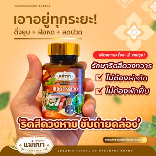 โปรแรงส่งฟรี มีของแถม &gt;&gt; เพชรสังฆาต ริดสีดวง ทวาร สมุนไพร 100% เพชรสังฆาตชนิดแคปซูล ตราสมุนไพรแม่ชบา