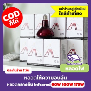 หลอดไฟอินฟราเรด สำหรับกกไฟกลางคืน หลอดความร้อน ให้ความอบอุ่น หลอด EML 60W 100W 175W