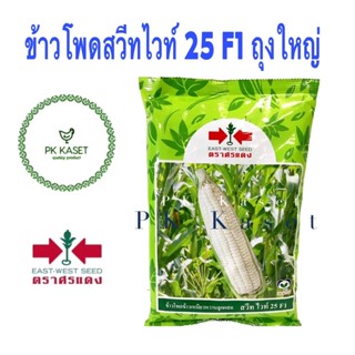 เมล็ดข้าวโพด ศรแดง สวีทไวท์ 25 F1 จำนวน 5,000 เมล็ด (800 กรัม) ข้าวโพดข้าวเหนียวหวานลูกผสม