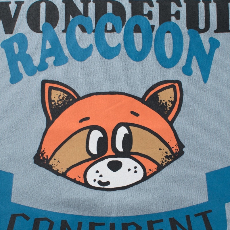 27kids เสื้อแขนยาวเด็ก 3098 แรคคูน RACCOON - รูปที่ 2