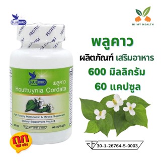 พลูคาว คาวตอง Cordata ขนาด 600 มิลลิกรัม 60 แคปซูล ตราบลูเบิร์ด Bluebird