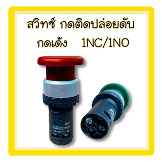 BF Push Button พุชบัทตอน สวิทซ์กดติดปล่อยดับ (ไม่ล็อค) 1NC/1NO EB2F-11M เขียว/แดง (กดเด้ง)