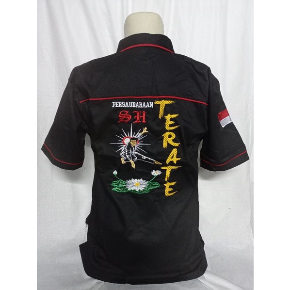 KAMEJA TEMU ROSE SHIRT - TEMU ROSE HEM - NAGATA PSHT TEMU ROSE SHIRT - ใหม่ล่าสุด PSHT SIMPLE SHIRT