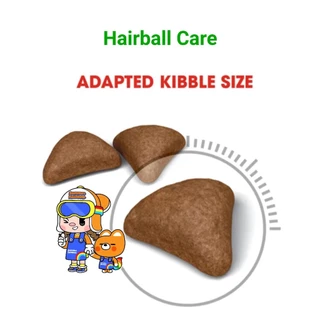 Royal Canin Hairball Care 10kg โรยัลคานิน อาหารแมว สูตรแฮร์บอล ช่วยลดปัญหาก้อนขน ถุงขนาด 10 กิโลกรัม