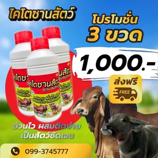 📮 ส่งฟรี ‼️ 🔥เซตขายดีที่สุด 3 ขวด 1000 บาท 🔥 หงส์ทองไคโตซาน (ฝาแดง) สูตร อ้วนไว ผสมติดง่าย เป็นสัดชัดเจน !! ขนาด 1 ลิตร