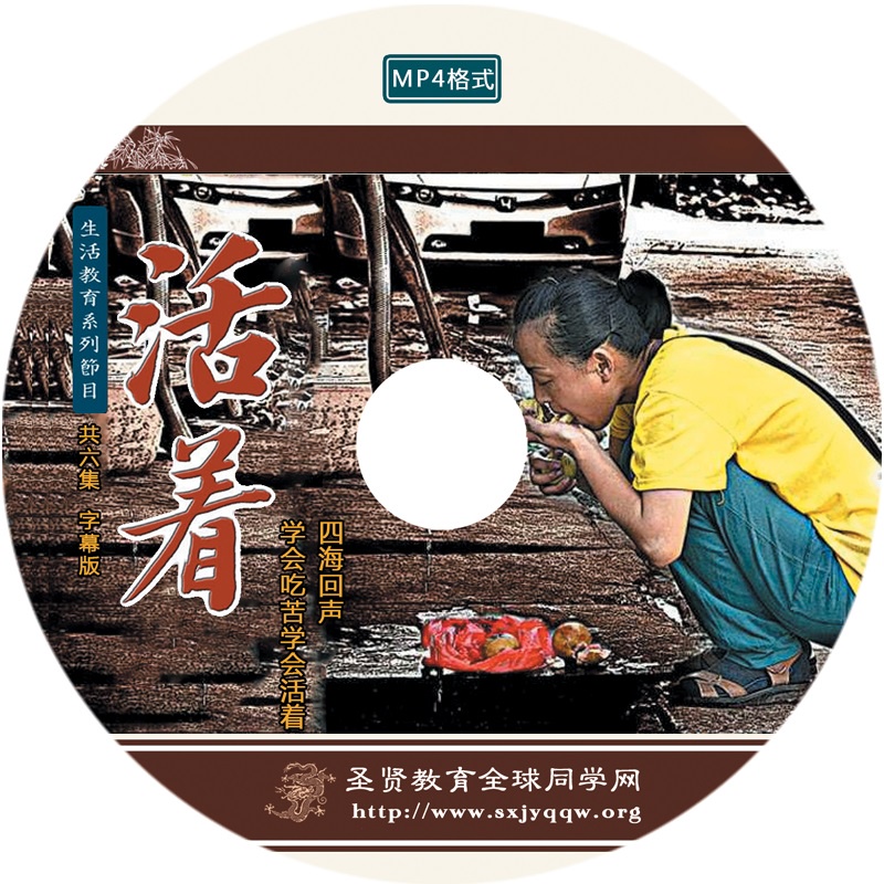 Living Teacher Chen Dahui CD AK8
