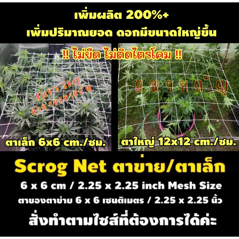 Scrog net ตาข่ายปลูกต้นไม้ ตาเล็ก 6 ซม./cm