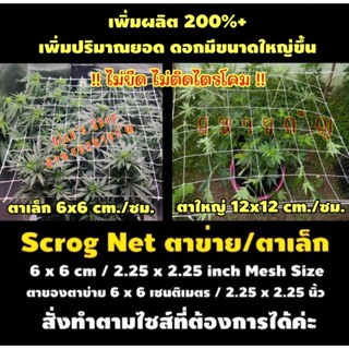 Scrog net ตาข่าย ตาข่ายปลูกพืช ตาข่ายปลูกต้นไม้ ตาข่ายกัญ ตาเล็ก 6 ซม./cm