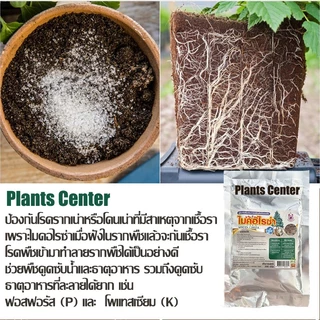 PlantsCenter ไมคอไรซ่า 200g/1kg ไมคอร์ไรซ่า ไมคอไรซา Mycorrhiza มั่นใจ100% สินค้าล็อตใหม่ล่าสุด