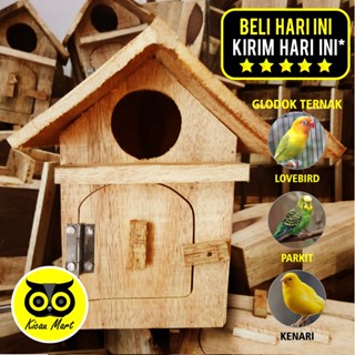 Glodok Lovebird House Glodok นกแก้วเจโลด็อก นกแก้ว นกแก้ว นกวอลนัท