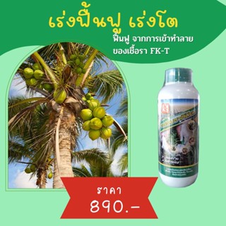 มะพร้าวยอดแห้ง มะพร้าวใบไหม้ ใบเหลือง กำจัดโรคมะพร้าว จากเชื…