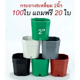 กระถางพลาสติก กระถางแคคตัส ทรง 8เหลี่ยม ขนาด 2นิ้ว (ชุด 100ใบ ฟรี20 ใบ) ขายถูกมาก