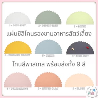 แผ่นรองซิลิโคน แผ่นรองชามอาหาร แผ่นซิลิโคนกันลื่น แผ่นยางกันลื่น แผ่นรองชามอาหารสัตว์เลี้ยง