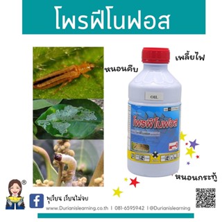 โพรฟีโนฟอส 50%W/V EC กลุ่ม1B ขนาดบรรจุ 1 ลิตร ชนิดน้ำ กำจัดเพลี้ยจั้กจั่น เพลี้ยไฟ เพลี้ยหอย เพลี้ยแป้ง เพลี้ยไก่แจ้ หนอ