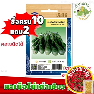 เมล็ดอวบอ้วน100%，ไทยในสต็อกพร้อมส่ง[10แถม2] เจียไต๋ เมล็ดพันธุ์ มะเขือไข่เต่าเขียว Round eggplant ประมาณ 200 เมล็ด ตราเจ