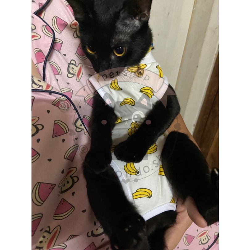 รูปภาพ 8