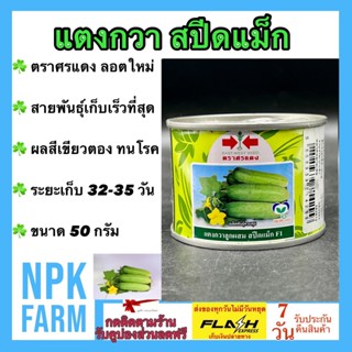 แตงกวา สปีดแม็ก ขนาด 50 กรัม เมล็ดพันธุ์ ลอตใหม่ งอกดี สายพันธุ์เก็บเร็วที่สุด ผลสีเขียวตอง ทนโรคไวรัส ระยะเก็บ 32 วัน