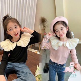 เสื้อเบลาส์ คอปกตุ๊กตา แขนเต็ม ผ้าชีฟอง พิมพ์ลายกลีบดอกไม้ สําหรับเด็กผู้หญิง