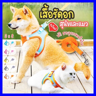 เสื้อรัดอก พร้อมสายจูง เกรดพรีเมี่ยม มีแถบสะท้อนแสง S/M/L/ สายจูง สายจูงสัตว์เลี้ยง เสื้อหมา เสื้อแมว สายจูงแมว 4 สี