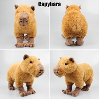 ของเล่นตุ๊กตาสัตว์ Capybara ปลอดสารพิษ เพื่อความปลอดภัย และสุขภาพดี