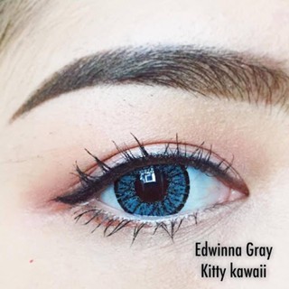 ไม่แถมตลับ Edwinna Gray (ตาโต) คอนแทคเลนส์ Kitty Kawaii