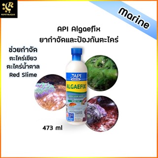 API Marine Algaefix กำจัดตะไคร่ ป้องกันตะไคร่ Red Slime Remove Algae