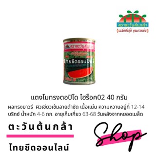 กป 40กรัม เมล็ดพันธุ์แตงโมทรงตอปิโด ไฮร็อค02 40 กรัม