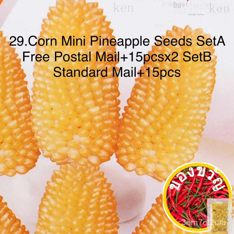 29.ข้าวโพดมินิเมล็ดสับปะรด Seta ฟรีไปรษณีย์15pcsx2 Setb จดหมายมาตรฐาน15ชิ้นรองเท้า/มักกะโรนี/seeds/บ