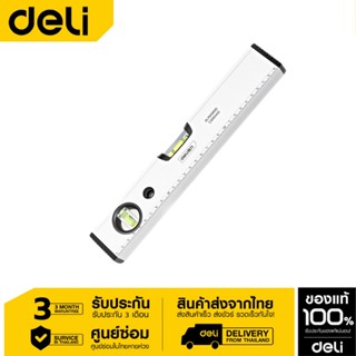 Deli ระดับน้ำ 300mm DL700300C-06