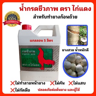 กรดหยอดยางพาราชีวภาพ ตรา ก.ไก่แดง กรดที่ไม่เป็นอันตรายต่อต้นยางต่อคนและสัตว์เลี้ยง(แกลลอน 5 ลิตร)