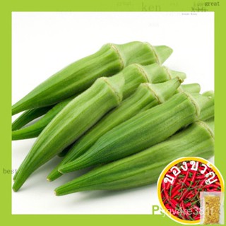 ฉบับย่อ10ชิ้น/5 terms okra/okra/pentagram okra (F1 Hybrid) cols/Atari/tongqi/Apple/หงอก/ดอกไม้/ท็อป/อันเดอร์ปา XABB