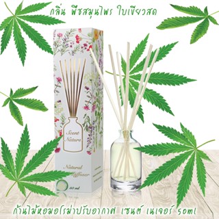 ก้านไม้หอมปรับอากาศ 50ml CANNABIZ สมุนไพรกัญช์