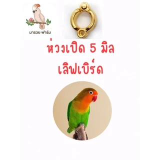 พร้อมส่งในไทย🇹🇭 ห่วงเปิดนกแก้ว สีทอง สีโรสโกลด์ สีดำ สีเงิน💯