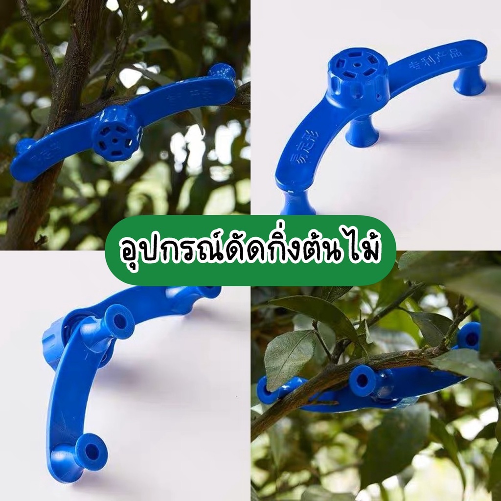 อุปกรณ์ดัดกิ่งต้นไม้   จัดกิ่งต้นไม้ให้โค้งสวยงาม โน้มกิ่ง