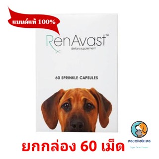 Renavast for Dog ยกกล่อง60เม็ด อาหารเสริมโปรตีน บำรุงไต exp8/2024