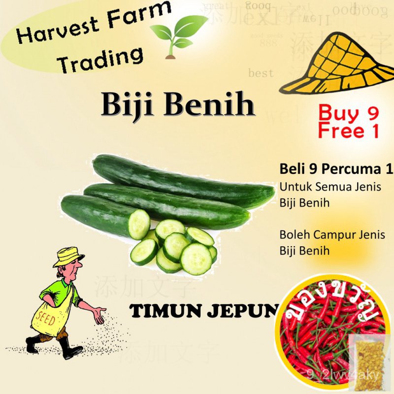 เมล็ดแตงกวาญี่ปุ่น10เมล็ดผัก cumberjapan SEED picturesfamily seeds Plant SEED KW9Q