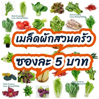 เมล็ดผักสวนครัว 5 บาท เมล็ดผักราคาถูก [10 แถม 1] คละแบบได้ ปลูกง่ายโตไว เมล็ด/ง่าย ปลูก สวนครัว ดอก ต้น/อินทรีย์ VSSO