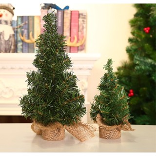 ต้นคริสมาสตั้งโต๊ะ สีเขียว กระถางผ้า 20cm - 30cm ต้นคริสมาส ต้นสน คริสมาส Plain Mini Christmas Pine Tree for table