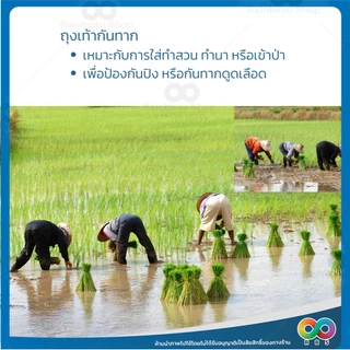 RAINBEAU ถุงเท้ากันทาก ถุงเท้าเดินป่า ผ้ายืดแห้งเร็ว ระบายอากาศดี ถุงเท้าป้องกันทาก ฟรีไซส์ ใส่ได้ทั้งชายหญิง 1 คู่