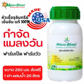 Micro Blaze 250ml.ส่งฟรี กำจัดหมอน พยาธิ ลดแมลงวัน ในฟาร์มเลี้ยงสัตว์ หัวเชื้อจุลินทรีย์ไมโครเบลสของแท้100%