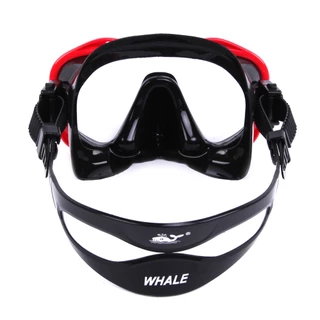 whale mk900+sk900 ปลาวาฬดำน้ำมืออาชีพดำน้ำว่ายน้ำชุดหลอดดำน้ำแห้ง