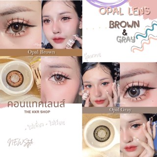 คอนแทคเลนส์ลาย Opal  เลนส์สีสวย brown&amp;gary เลนส์นุ่มใส่สบาย